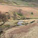 Folllowing the Derwent past Slippery Stones