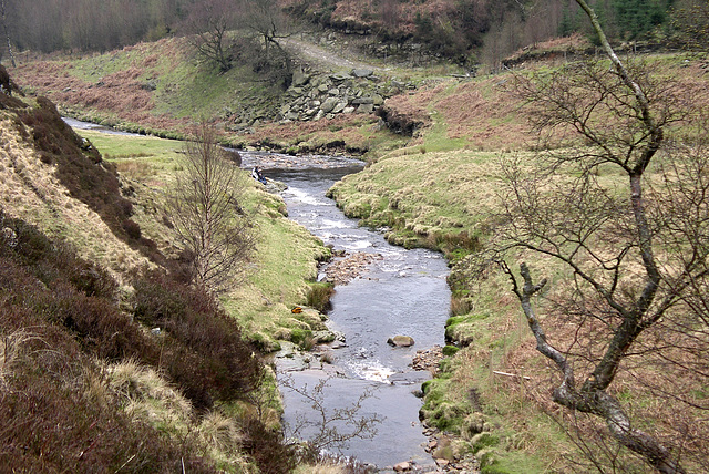 Folllowing the Derwent past Slippery Stones