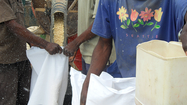 Bagging Maize