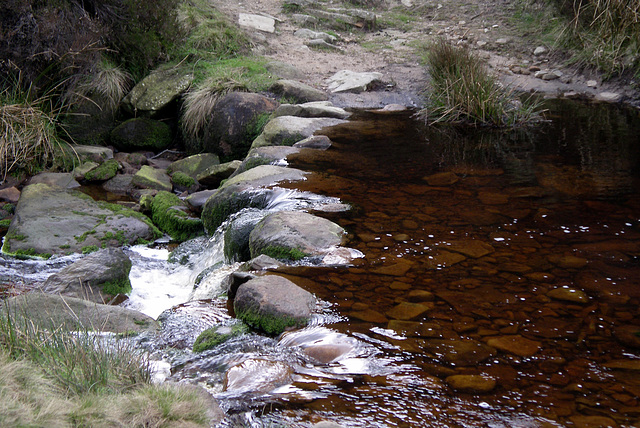 Folllowing the Derwent past Slippery Stones