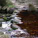 Folllowing the Derwent past Slippery Stones