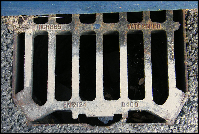 HGR865 Watershed drain cover