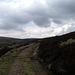 Up on to Howden Moors