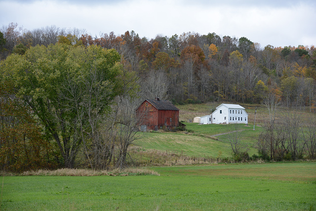 A tribute to Grandma Moses