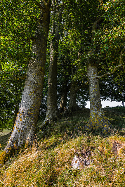 Avebury - 20140806