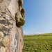 Avebury - 20140806