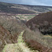 Track up onto the Howden Moors