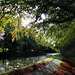 Autumn on the canal (1 of 2).