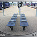 Reading Station benches - 14.8.2014