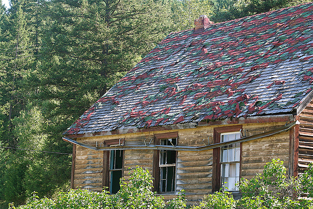South of Kersley, BC