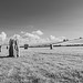 Avebury - 20140806