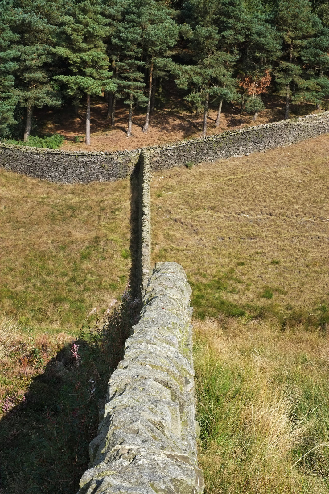 Walls at Lyme Park