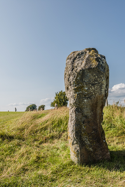 Avebury - 20140806