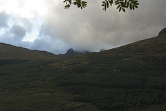 The Cobbler in cloud