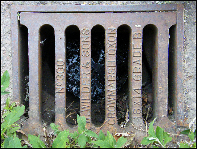 Wilder drain cover