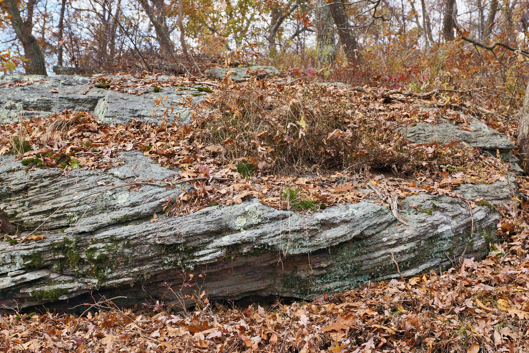 The Layered Look – High Point State Park, Sussex County, New Jersey