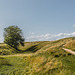 Avebury - 20140806