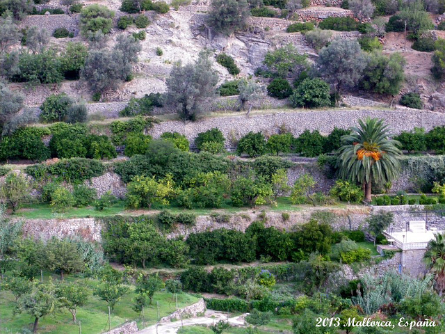 18 Deià Hill-side Farm Terraces