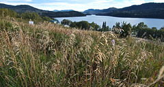 Lac Du Roches