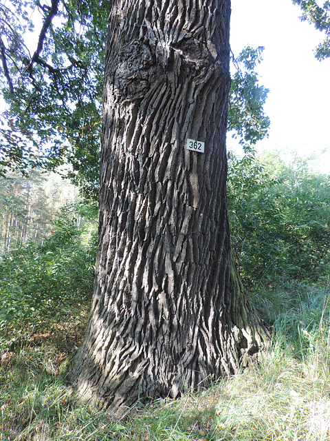 Unter Naturschutz stehend