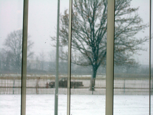 Weather