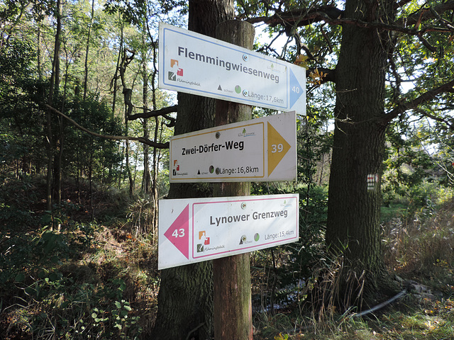 Wanderwege im Schöbendorfer Busch