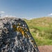 Avebury - 20140806