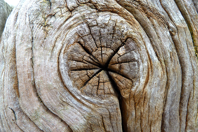 Utah Beach 2014 – Wood at Utah Beach