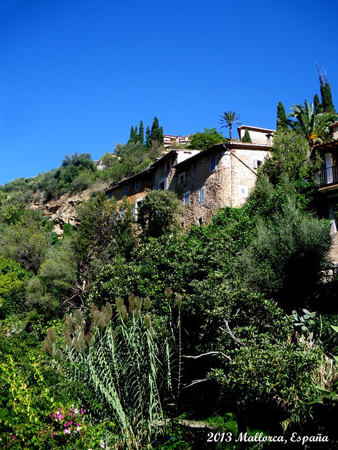 56 Ravine-side Houses