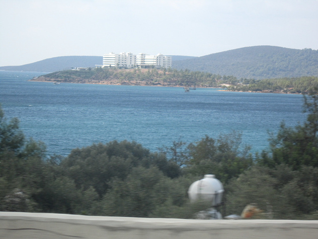 IMG 0258