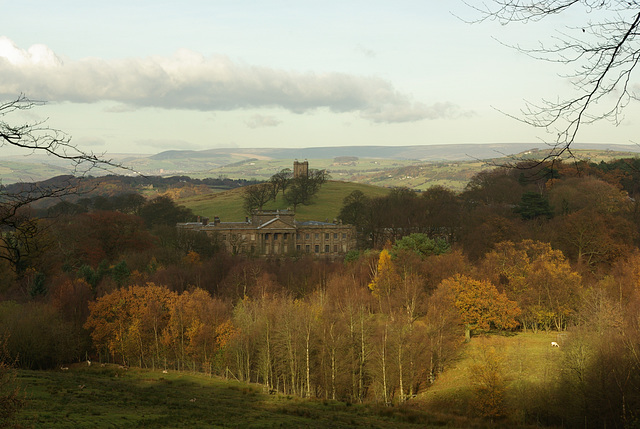 Lyme Hall and The Cage