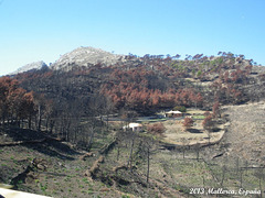 68 Drive West: Scenery North of Andratx