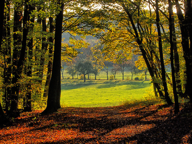 Letztes Oktoberlicht