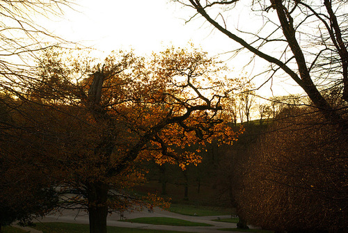 Lyme Park