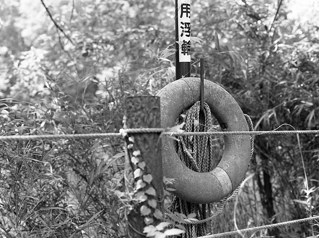 Life ring at a pond Life ring at a pond