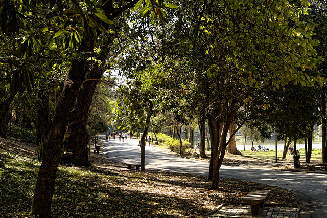 Parque da Aclimação.