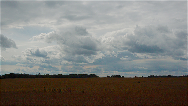 A Striking Sky