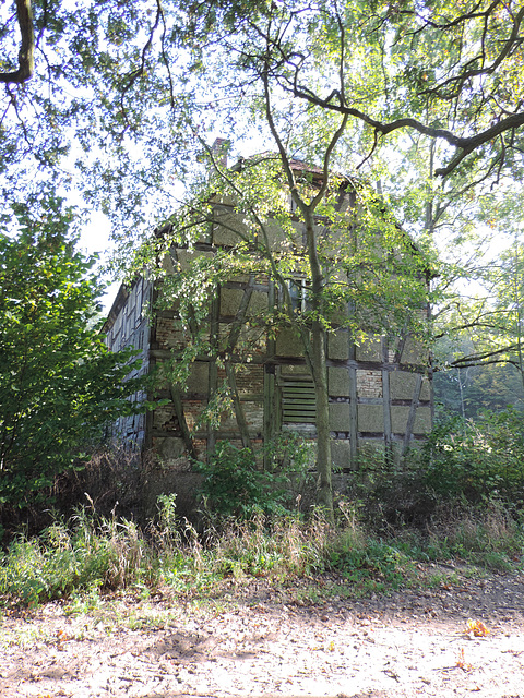 Horstmühle - gut getarnt...