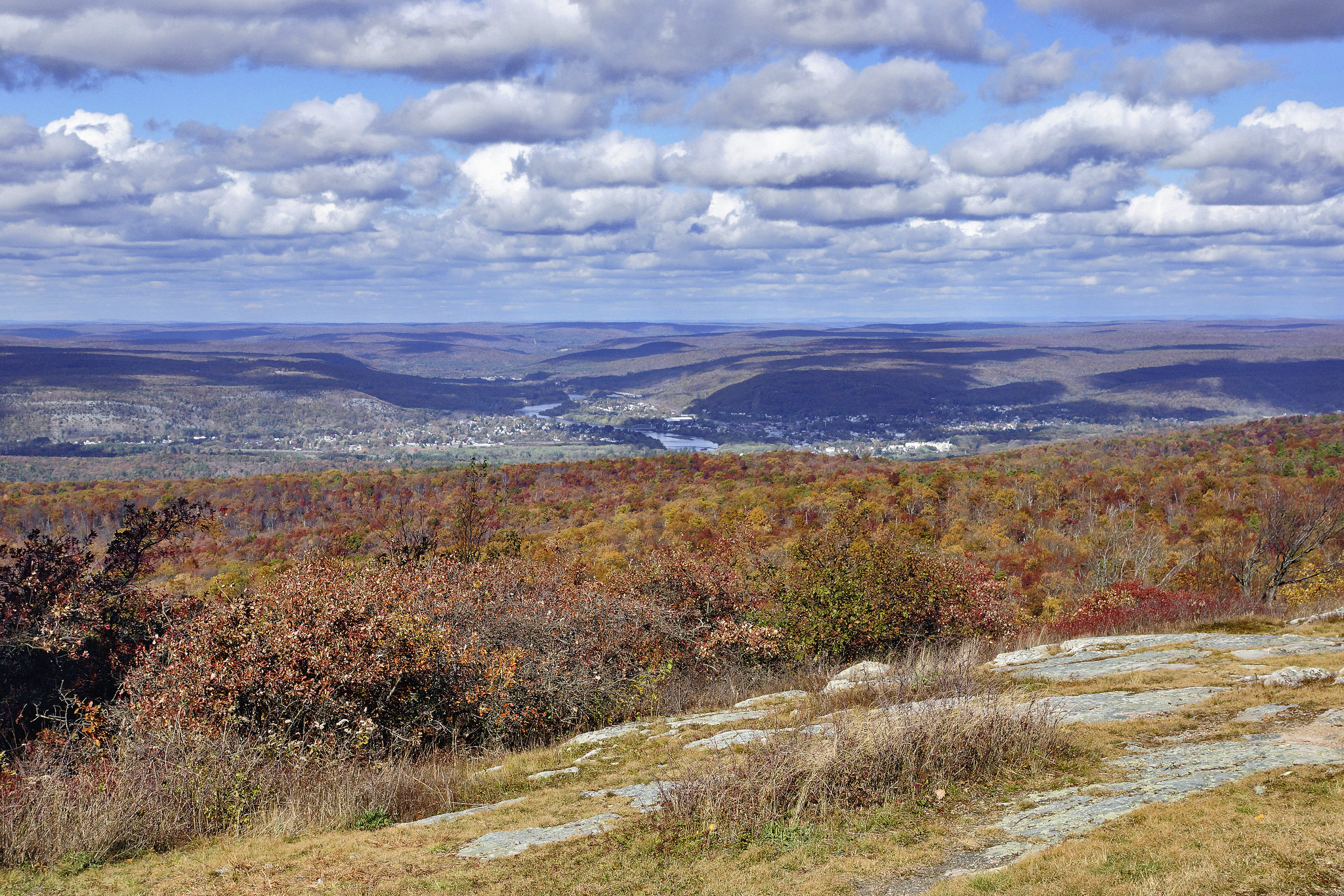 Patchwork – High Point State Park, Sussex County, New Jersey