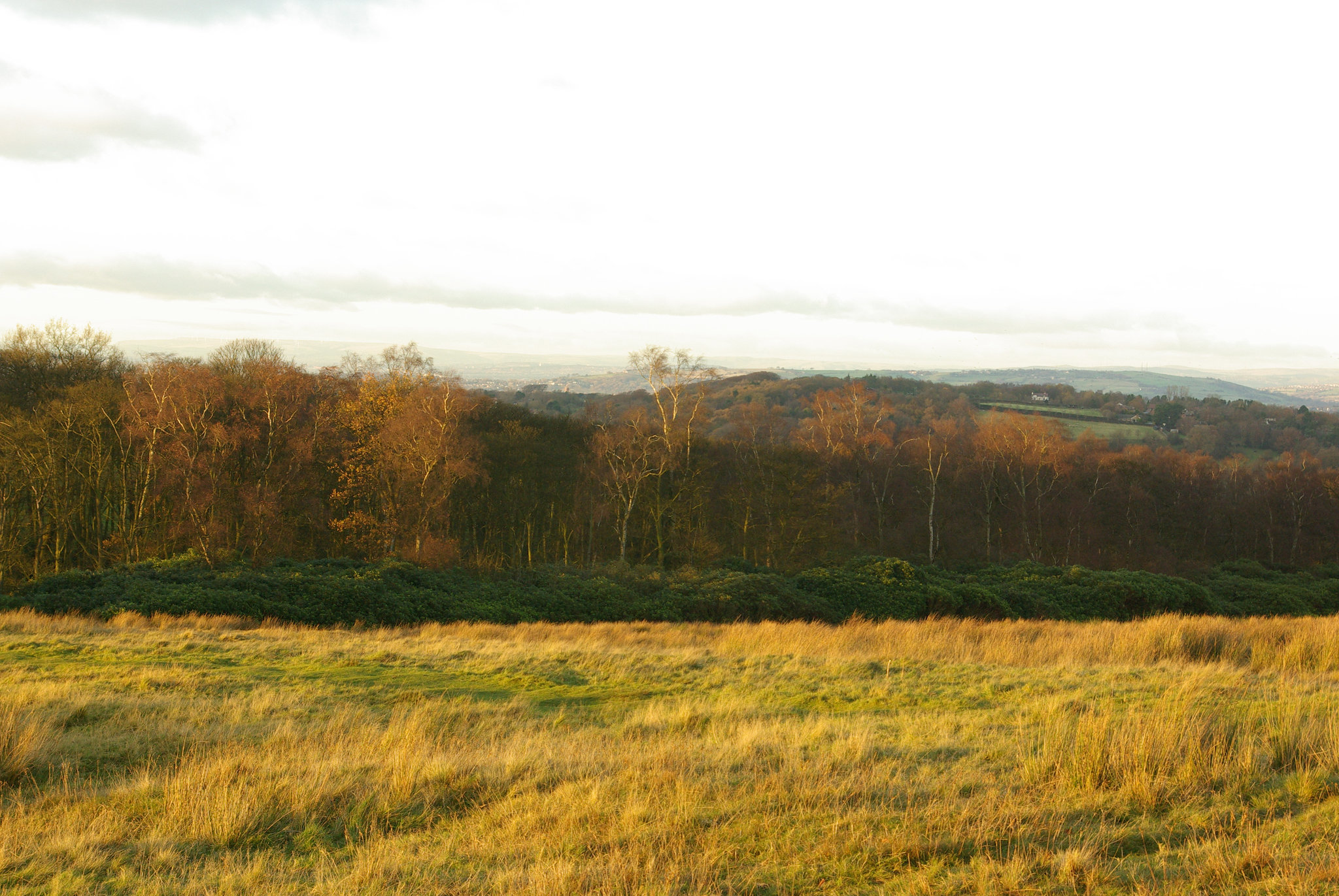 Lyme Park