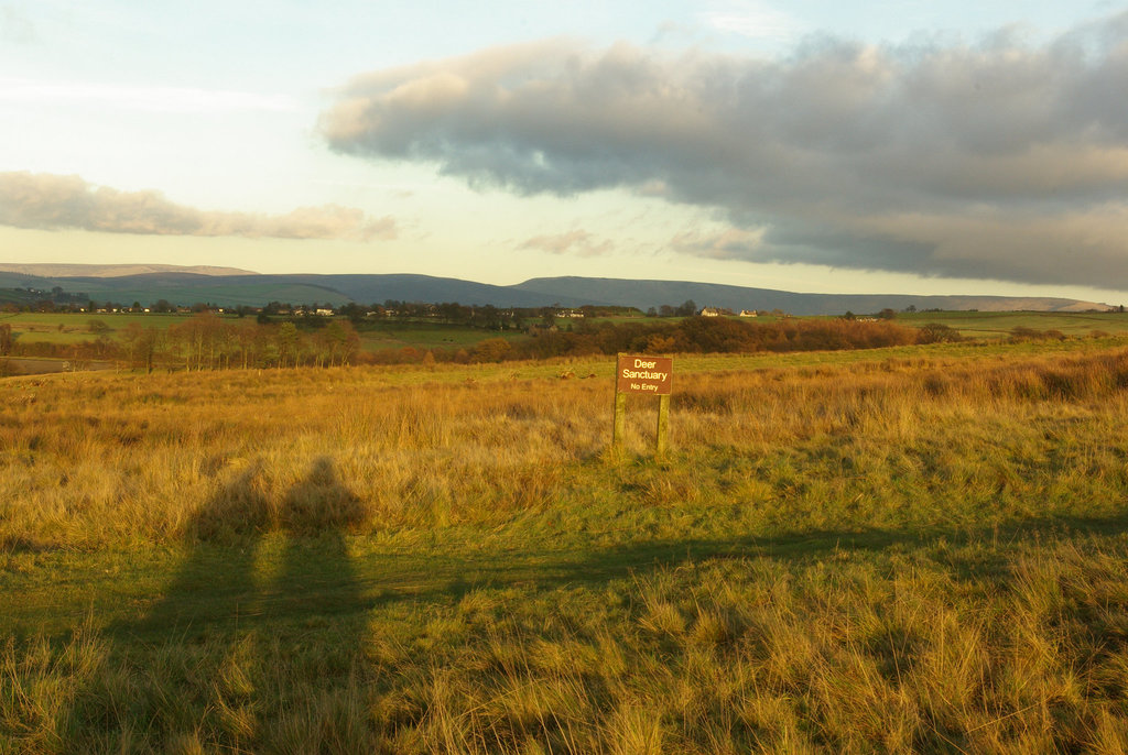 Lyme Park