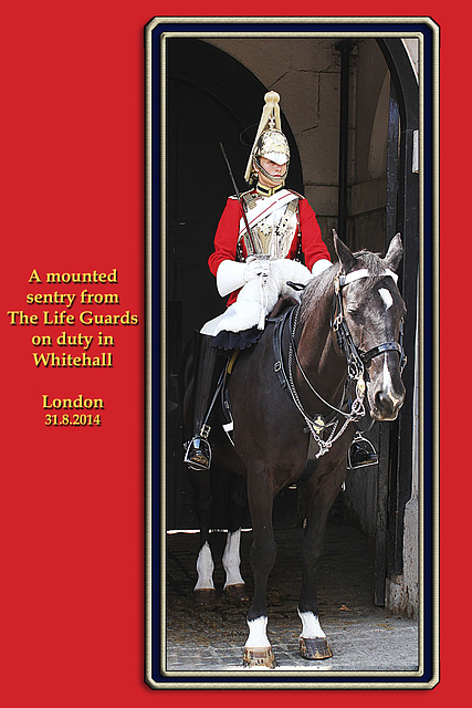 Life Guards mounted sentry - London - 31.7.2014