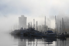 Misty Morning on the Vancouver Waterfront