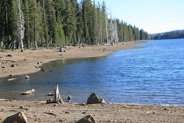 Meadow Lake