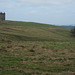 The Cage & Red Deer at Lyme Park