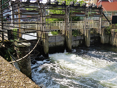 waterworks weir, lee bridge road, clapton, hackney, london