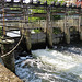 waterworks weir, lee bridge road, clapton, hackney, london