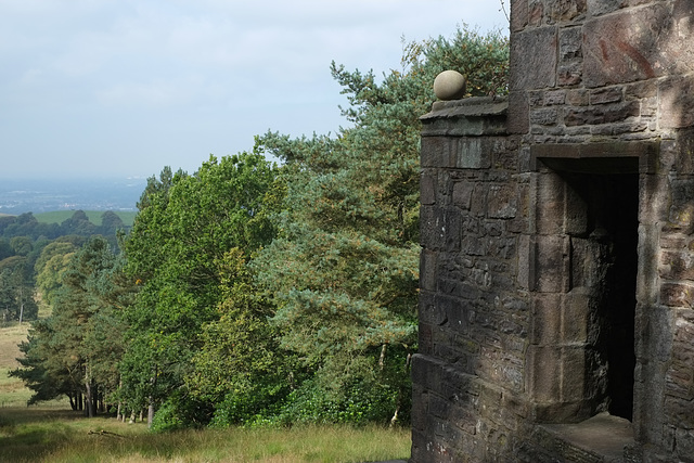 Lantern Wood, Lyme Park