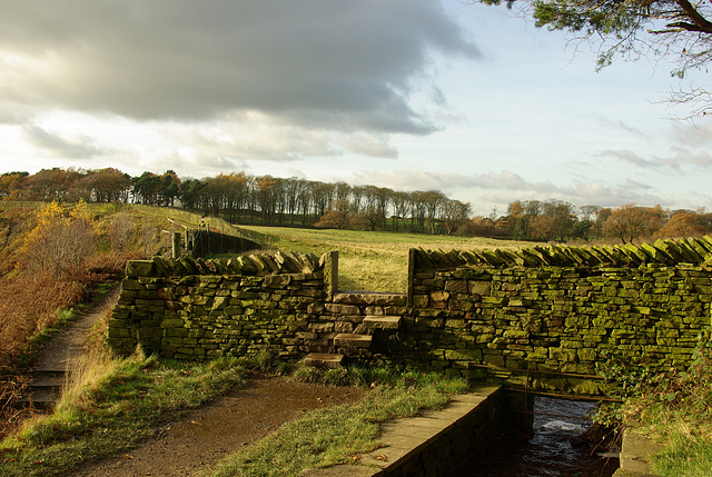 Lyme Park