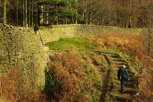 Lyme Park